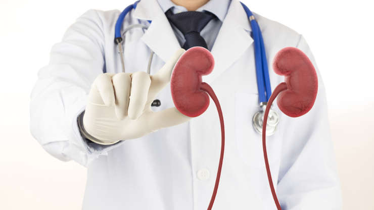 6 Questions to Ask a Kidney Doctor in Fort Lauderdale